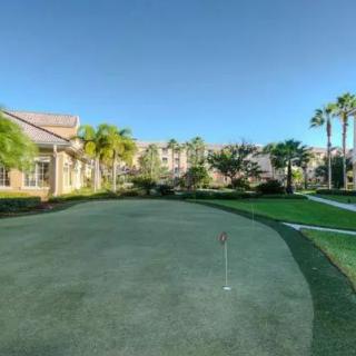 A sunny day on a resort golf course with a putting green surrounded by lush palm trees.