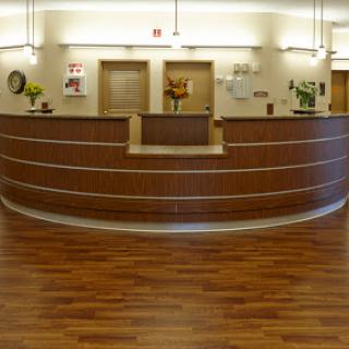 A modern reception area with a wooden front desk and a welcoming atmosphere.