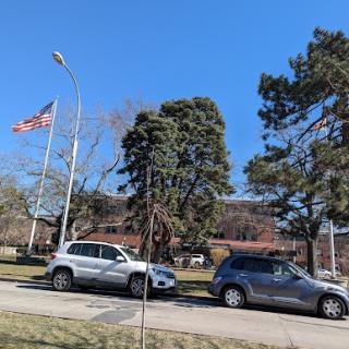 A clear day featuring parked cars, a tall tree, and an American flag waving in the breeze.
