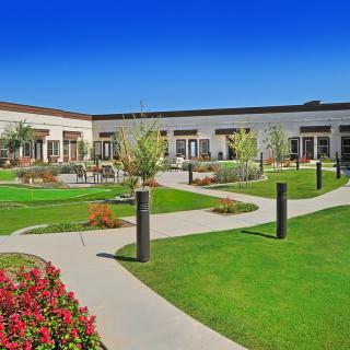 A modern courtyard with pathways meandering through well-maintained gardens and greenery under a clear blue sky.