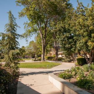 A sunny day with a winding pathway lined with trees and greenery.