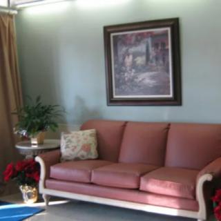 A cozy living room with a pink sofa, framed painting, and decorative plants.