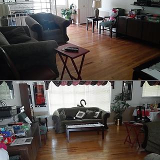 A cozy living room with sofas and hardwood flooring, adorned with houseplants and a small coffee table.
