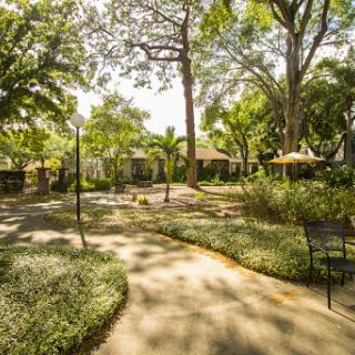 A serene park featuring lush greenery and a winding pathway under the shade of trees.