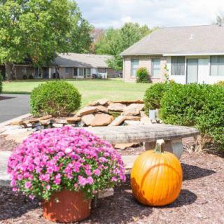 A garden setting with pink flowers and a large pumpkin, showcasing an autumn landscape.