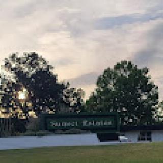 A scenic view featuring a sunset behind trees and a sign.