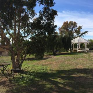A tranquil garden scene featuring a gazebo surrounded by trees and grass under a blue sky.
