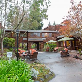A charming outdoor seating area with umbrellas and lush greenery surrounding a rustic building.