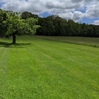A serene landscape featuring a lush green field and a solitary tree under a partly cloudy sky.