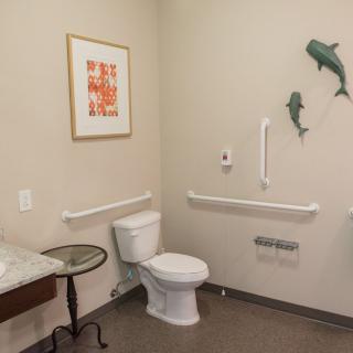 An accessible bathroom featuring handrails, decorative wall art and a small table.