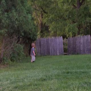 A child exploring a grassy area near a wooden fence surrounded by trees.