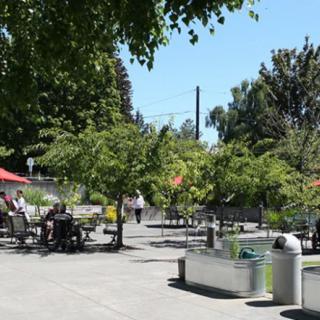 A sunny day in an urban park with outdoor seating and people enjoying the scenery.