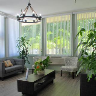 A bright and cozy living room filled with natural light, featuring comfortable seating and various indoor plants.