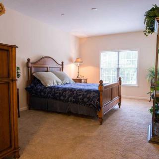A cozy bedroom with a wooden bed frame, side lamp, and potted plants by the window.