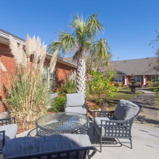 A sunny patio with outdoor furniture and a palm tree in a garden setting.