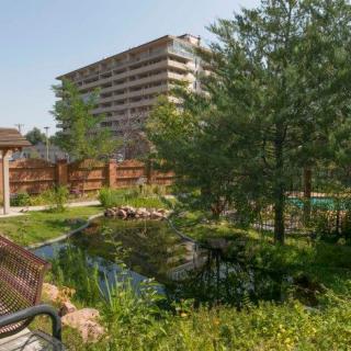 A serene garden with a small pond, surrounded by trees and a wooden fence, with a tall building in the background.