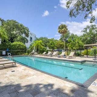 A tranquil outdoor swimming pool surrounded by tropical trees and lounge chairs on a sunny day.