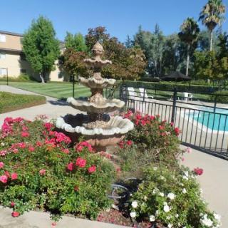 A serene garden featuring a beautiful fountain surrounded by vibrant flowers, with a swimming pool in the background.