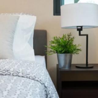 A modern bedroom with a neatly arranged bedside table featuring a lamp and potted plant.