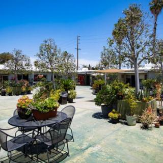 A sunny outdoor patio filled with plants, featuring a table and chairs.