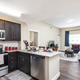 Modern open-concept kitchen and living room in an apartment.
