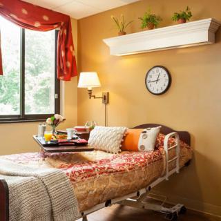 A cozy bedroom with a hospital bed and decorative elements in warm tones.
