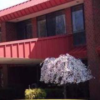 A two-story red brick building with a flowering tree in front.