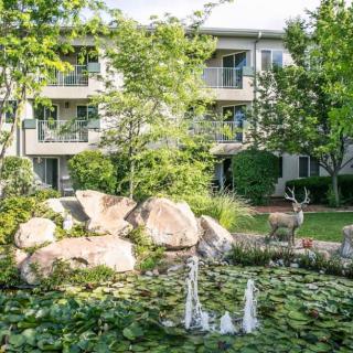 A serene garden with a pond and fountain in front of an apartment building.