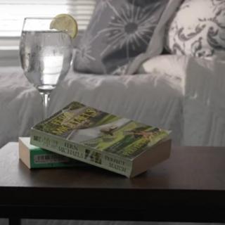 A cozy living room scene with a book and a refreshing glass of water on the table.