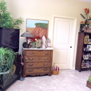 A cozy living room corner featuring a dresser with decorative items, a television, plants, and a bookshelf filled with books.