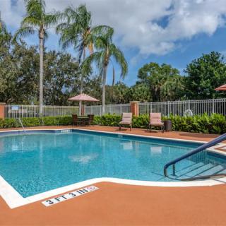 A sunny outdoor swimming pool surrounded by palm trees and lounge chairs.