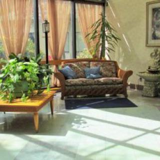 A cozy living room bathed in sunlight, featuring a comfortable sofa, lush indoor plants, and elegant curtains.
