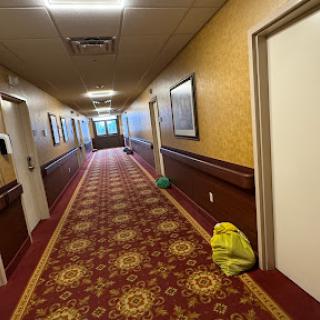 A view down a hotel hallway with decorative carpet and closed doors.
