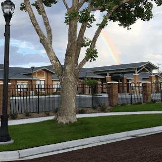 A serene outdoor scene featuring a tree and a building, complemented by a walking path and a lamp post.