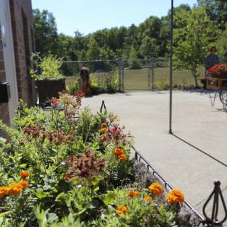 A sunny patio adorned with blooming flowers and lush greenery next to a fence.