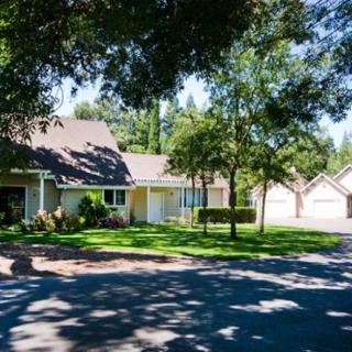 A suburban house surrounded by a green lawn and shaded by trees on a sunny day.