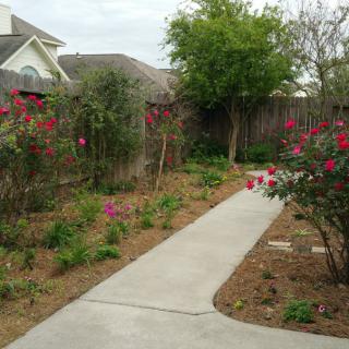A landscaped garden with a concrete pathway lined by vibrant flowers and shrubs.