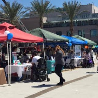 A vibrant community event featuring various booths and tents under the sunny sky.