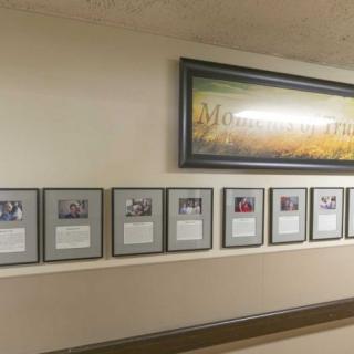 A hallway decorated with a series of framed pictures and an artwork above.