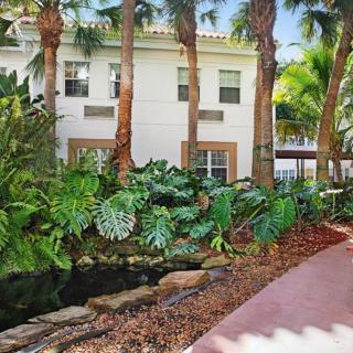 A tranquil garden pathway lined with lush tropical plants and palm trees beside a building.
