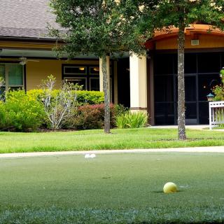 A well-maintained lawn with a yellow ball in front of a building surrounded by trees and shrubs.