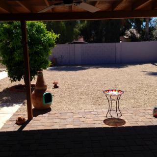 A sunny backyard with a tree, patio, and surrounding fence.