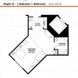 Maple IV: 1 Bedroom, 1 Bathroom Apartment Floor Plan - Size: 546 SF