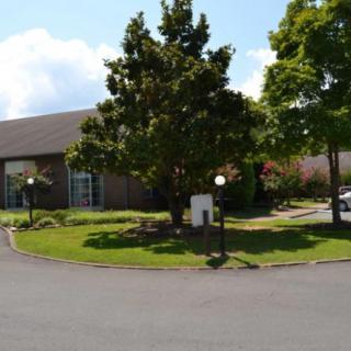A sunny view of a building surrounded by lush greenery and trees, with lamp posts lining the road.