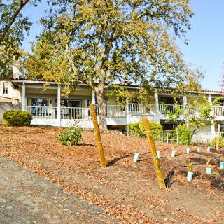 A house surrounded by trees and a landscaped garden in an autumn setting.
