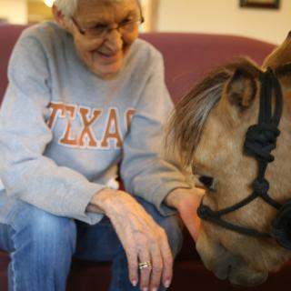 An elderly woman wearing a Texas shirt interacts with a horse indoors.