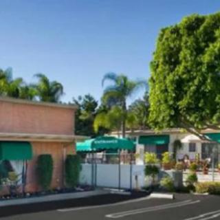 An outdoor restaurant patio with green umbrellas and palm trees under a clear blue sky.