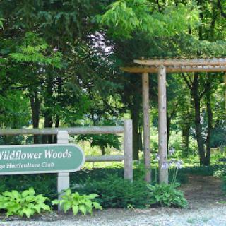 The welcoming entrance to Wildflower Woods, surrounded by lush greenery.