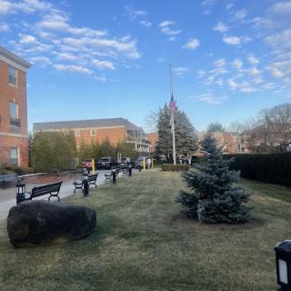A serene park setting with benches, trees, and a clear sky.