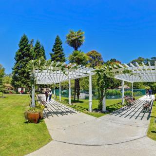 A sunny day in a park featuring a white pergola and lush greenery.